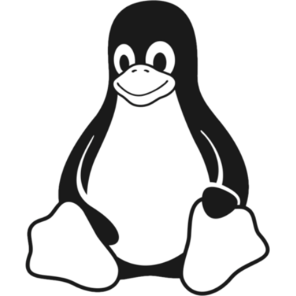 Formation Initiation Linux